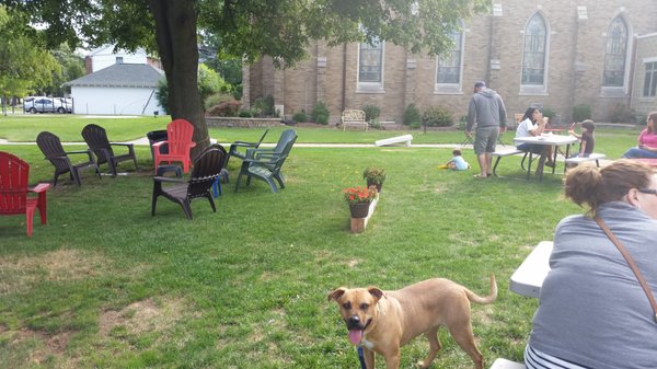 Daily Bread Food Truck