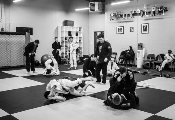 Buffalo United Martial Arts