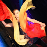 The Bird's Nest Circus Arts