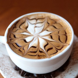 SPoT Coffee - Delaware Ave