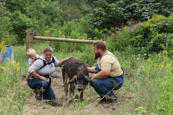 Always Something Farm