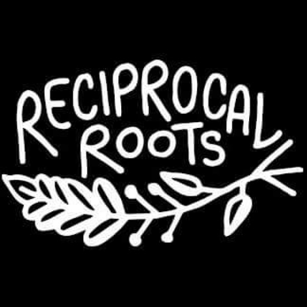 Reciprocal Roots