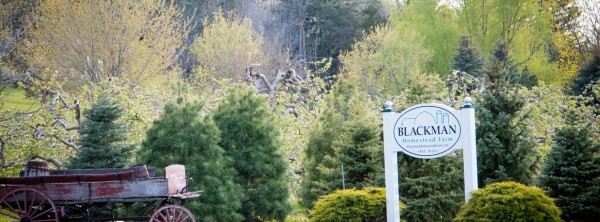 Blackman Homestead Farm