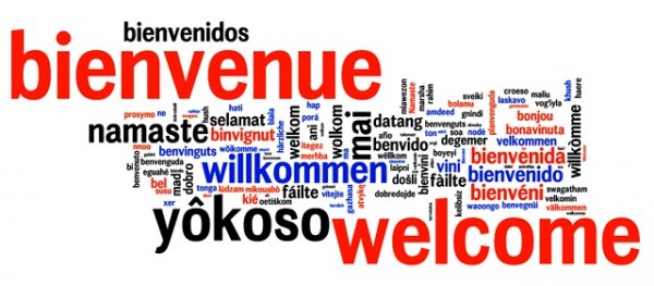 Herman Legal Group, LLC