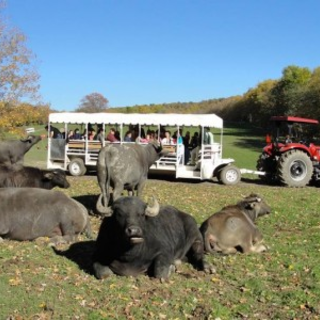 Hidden Valley Animal Adventure