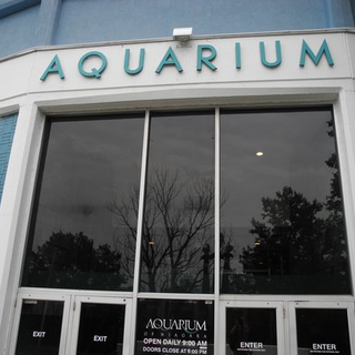 Aquarium of Niagara