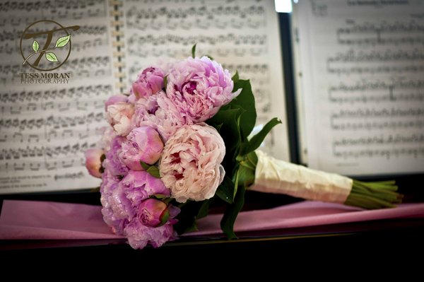 William's Florist & Gift House, Inc.